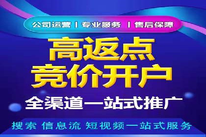 百度广告推广投入与回报的惊人案例